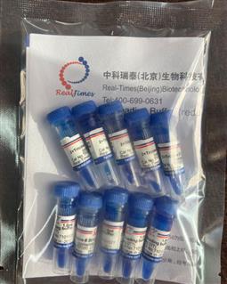 2×Tricine多肽上樣緩沖液（變性，還原）