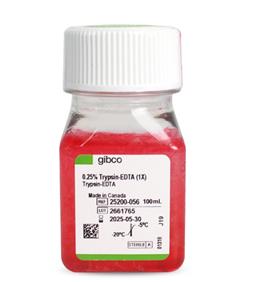 胰酶細(xì)胞消化液（0.25%胰酶，含EDTA，含酚紅）Gibco