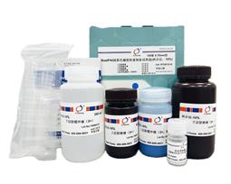 RealPAGE 彩色PAGE凝膠快速制備試劑盒（一步法）12.5%