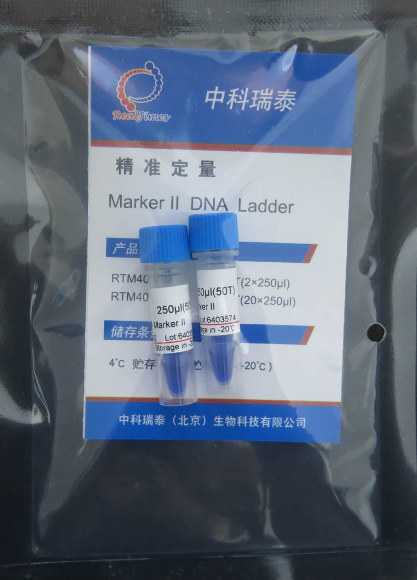 DNA Marker II(100-1200bp)