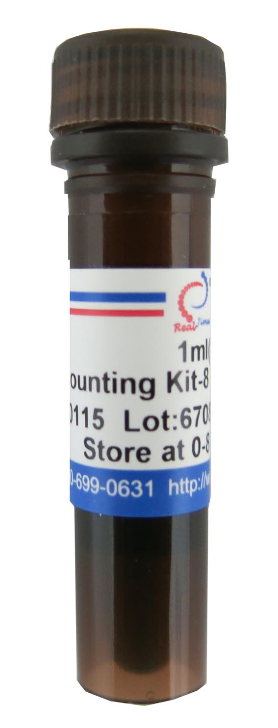 Cell Counting Kit-8(CCK-8)
