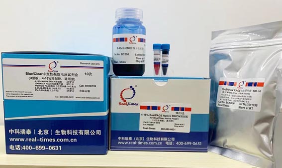 Blue/Clear非變性PAGE電泳試劑盒(U型板4-16%預制膠,通用型)